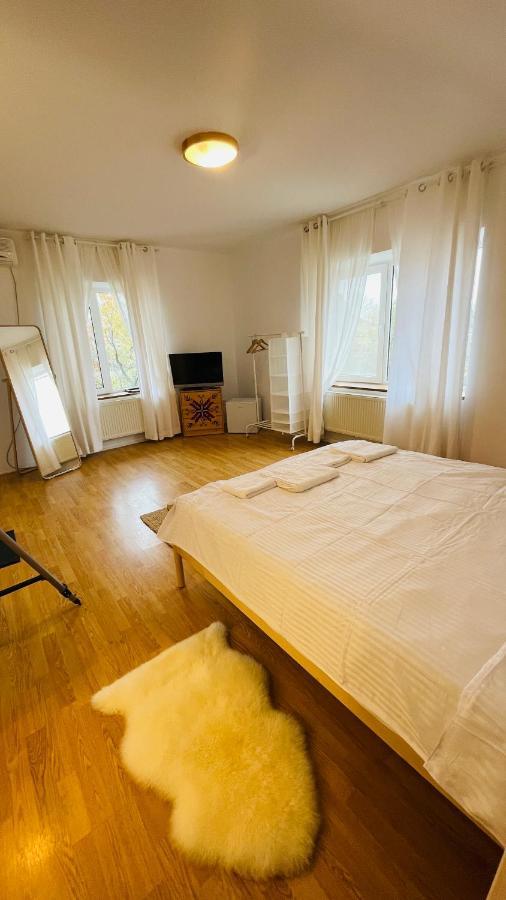 バロテシュティBiolocalia House Dobrogeaアパートメント エクステリア 写真