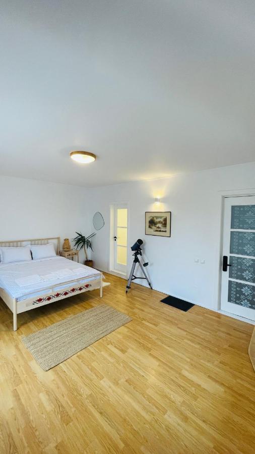 バロテシュティBiolocalia House Dobrogeaアパートメント エクステリア 写真